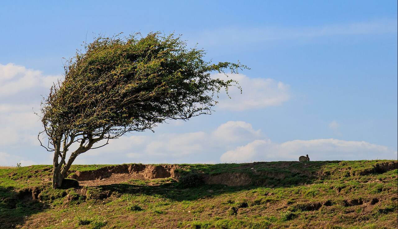 هوای بهاری در دل زمستان گیلان