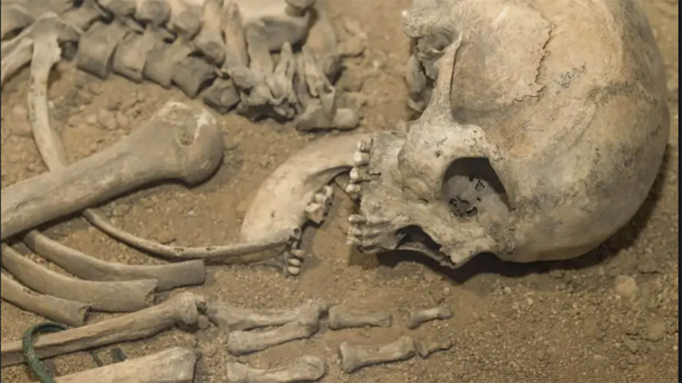 گوناگون/ کشف راز استخوان‌های غول‌آسای ۱۲۵هزار ساله