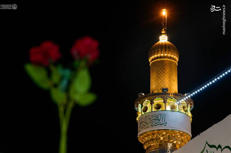 عکس/ حال و هوای حرم امام علی(ع) در شب میلادشان