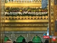 روایتی متفاوت از عاشقان امام علی علیه السلام درحرم رضوی 