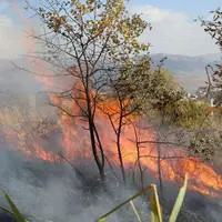 احتمال وقوع آتش‌سوزی در مناطق جنگلی و مراتع مازندران