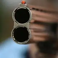 ۷۵ قبضه اسلحه از شکارچیان غیرمجاز در اردبیل کشف شد