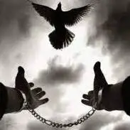 آزادی 15 زندانی جرایم مالی در ایلام