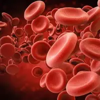 تولید سلول های خونی، نقش جدید سیستم لنفاوی در بدن