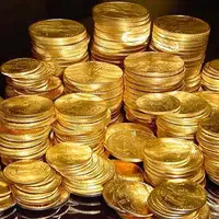 کشف 300 سکه طلا از منزل مشاور یکی از شهرداران مناطق شیراز