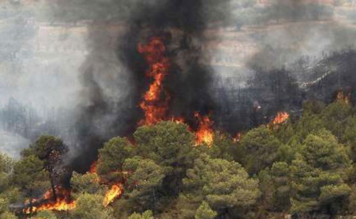 آتش‌سوزی جنگل‌های بهشهر و ساری مهار شد