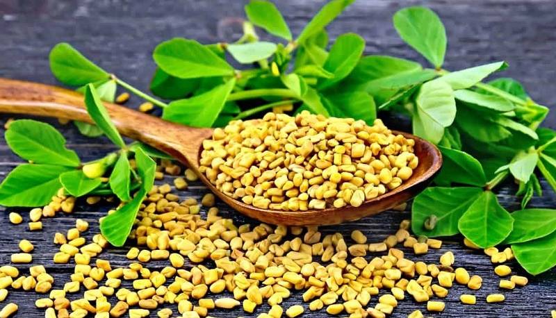گیاهی برای پیشگیری از موخوره و ریزش مو