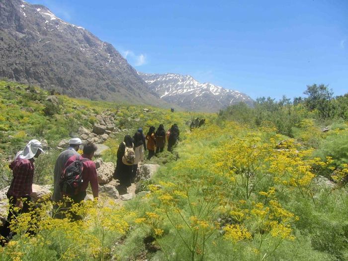 دریاچه کوه گل، مرواریدی در دنا