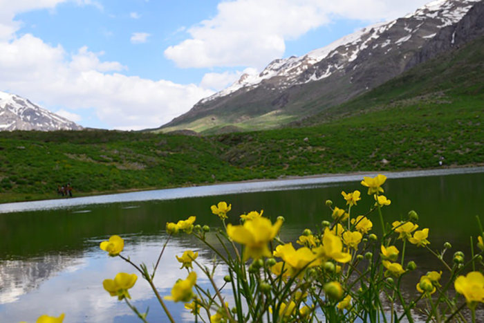 دریاچه کوه گل، مرواریدی در دنا