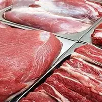 رئیس سازمان دامپزشکی: قیمت گوشت تا ۱۵۰ هزار تومان کاهش می‌یابد