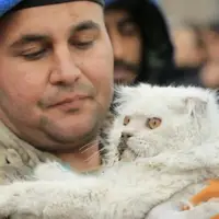 نجات یک گربه از زیر آوارها در ترکیه