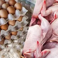گوشت و تخم‌مرغ در بازار زنجان موجود است