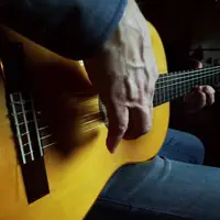 تک نوازی گیتار فلامینگو توسط جسی کوک