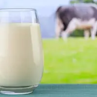 هشدار؛ این ۶ ماده غذایی هرگز نباید با شیر ترکیب شوند  