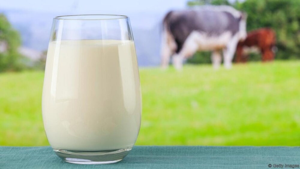 هشدار؛ این ۶ ماده غذایی هرگز نباید با شیر ترکیب شوند  
