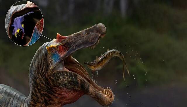 دانشمندان مغز قدیمی‌ترین دایناسورهای ماهی‌خوار را بازسازی کردند