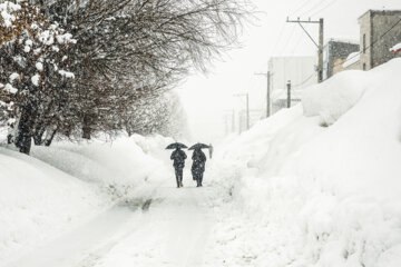 عکس/ برف روبی سنگین در کولاک برف کوهرنگ