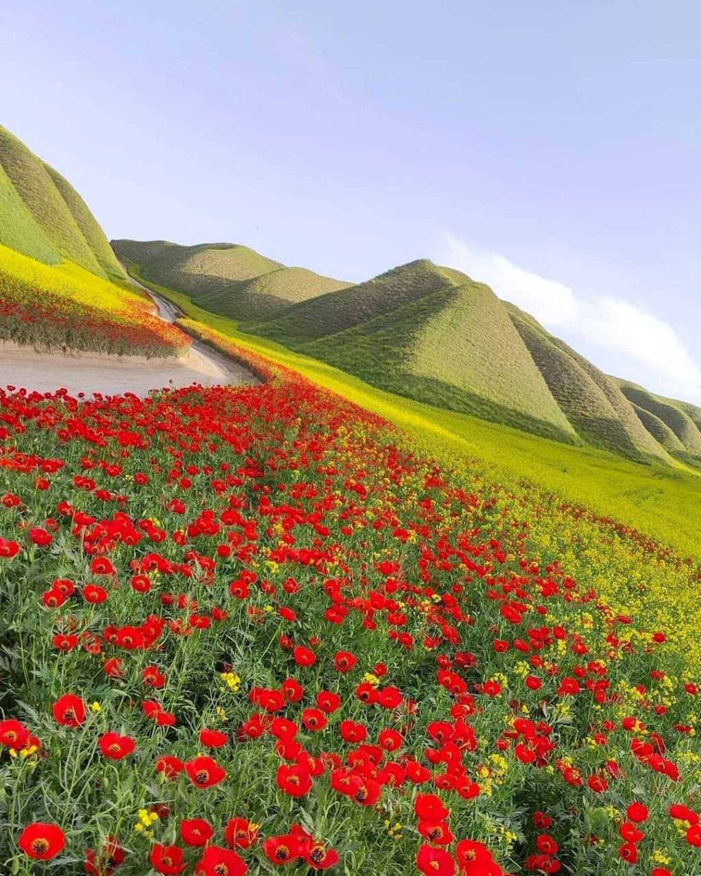 طبیعت زیبای ماسان کوپ در استان گلستان