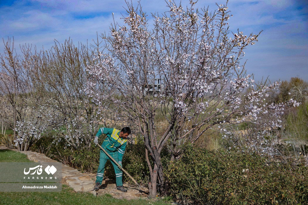 عکس/ «صدای پای بهار» در شیراز