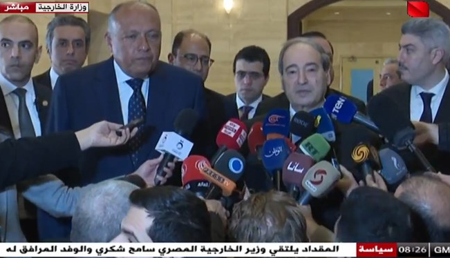 وزیر خارجه مصر: برای کمک به برادرانمان به سوریه رفتم