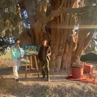 اجرای برنامه‌ زیر یکی از قدیمی‌ترین درخت‌های دنیا 