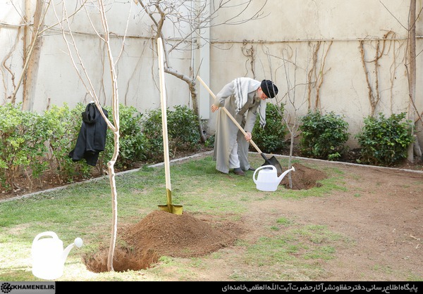 عکس/ کاشت نهال توسط رهبر انقلاب در روز درختکاری