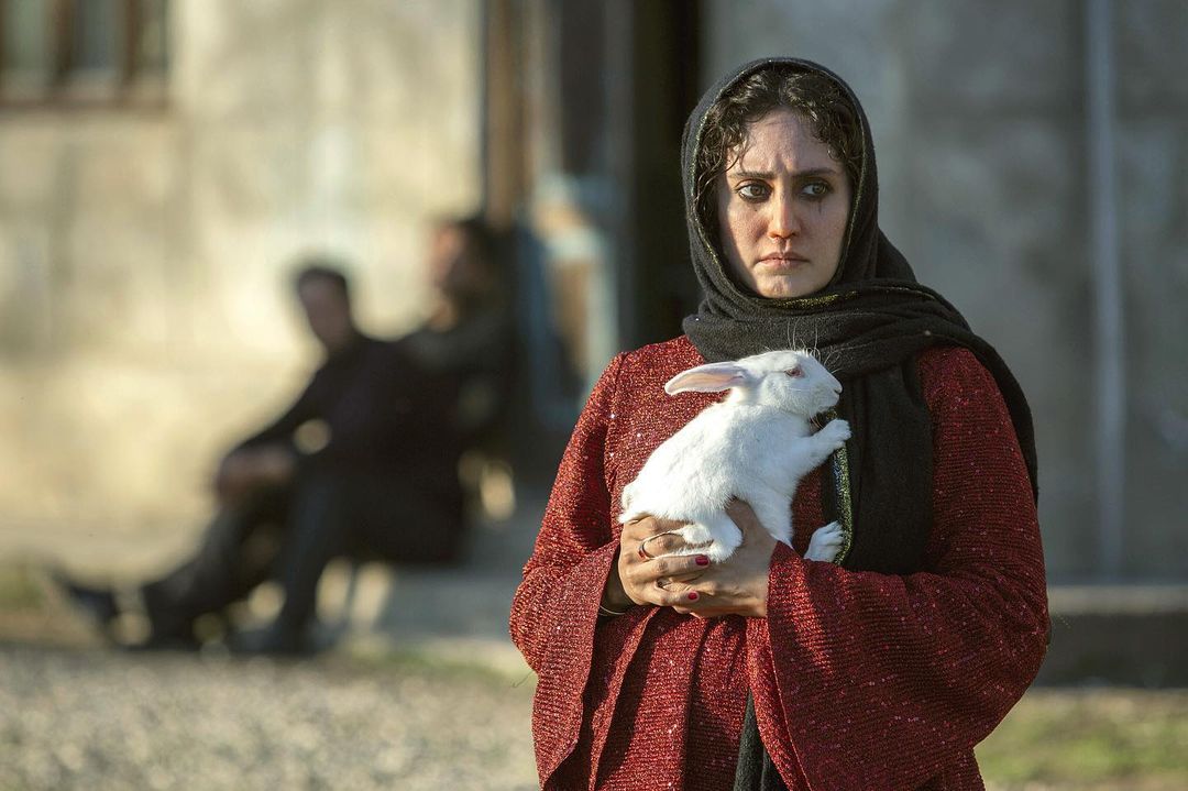 مگه میشه بدون شوهر حامله شد؟