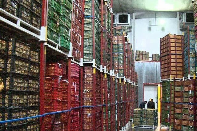 ذخیره‌سازی 30 تن میوه شب عید در بروجرد
