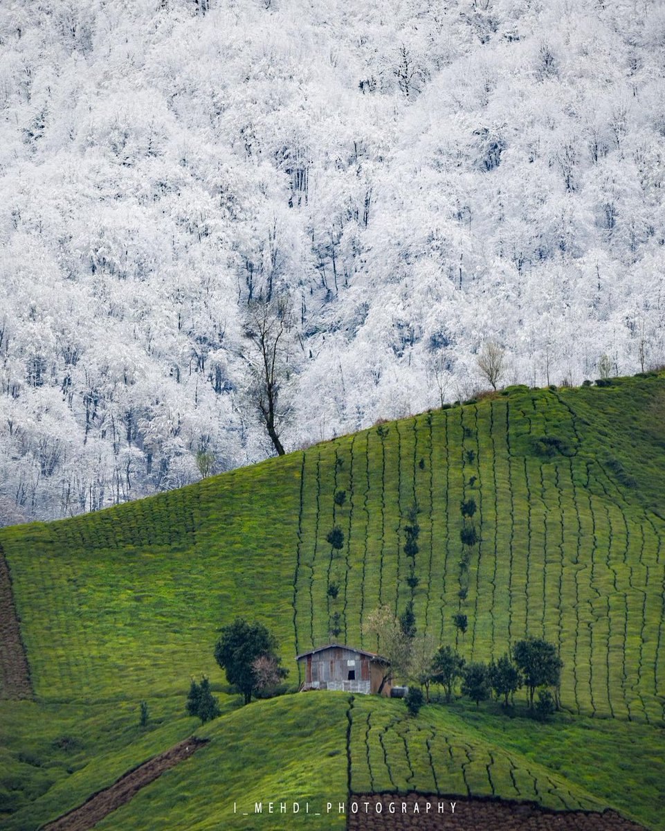 تقابل زیبای بهار و زمستان