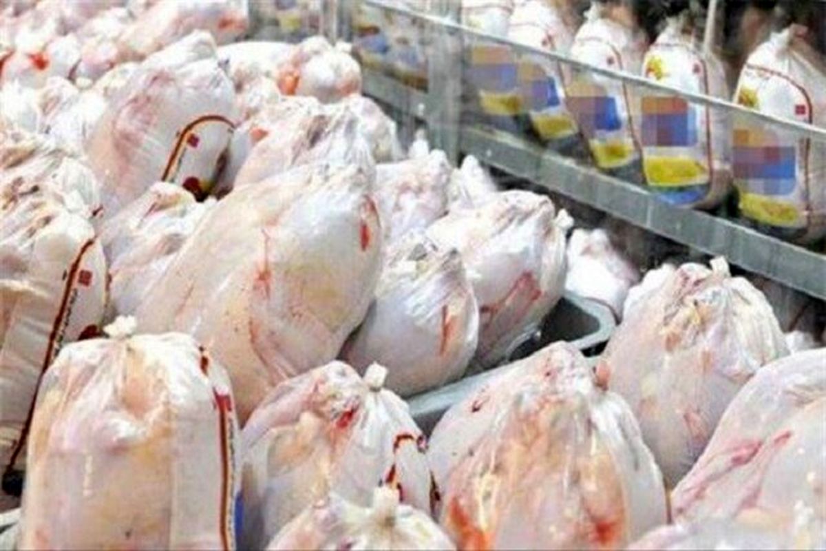 قیمت هر کیلو مرغ گرم در کرمان 63 هزار تومان