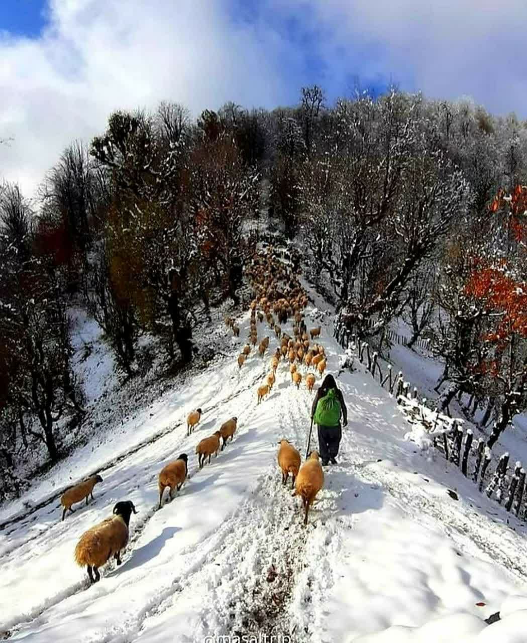 طبیعت زیبایِ «ماسال» در گیلان