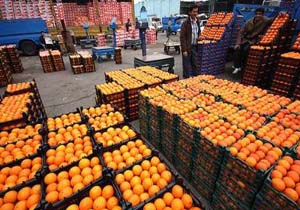 آغاز توزیع میوه شب عید در مازندران از امروز