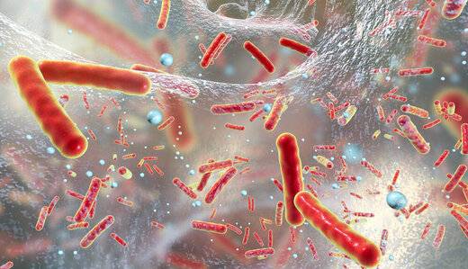 این باکتری مهندسی شده قاتل سرطان روده است!