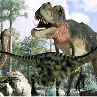 راز زنده ماندن و تسلط دایناسورها به زمین چیست؟