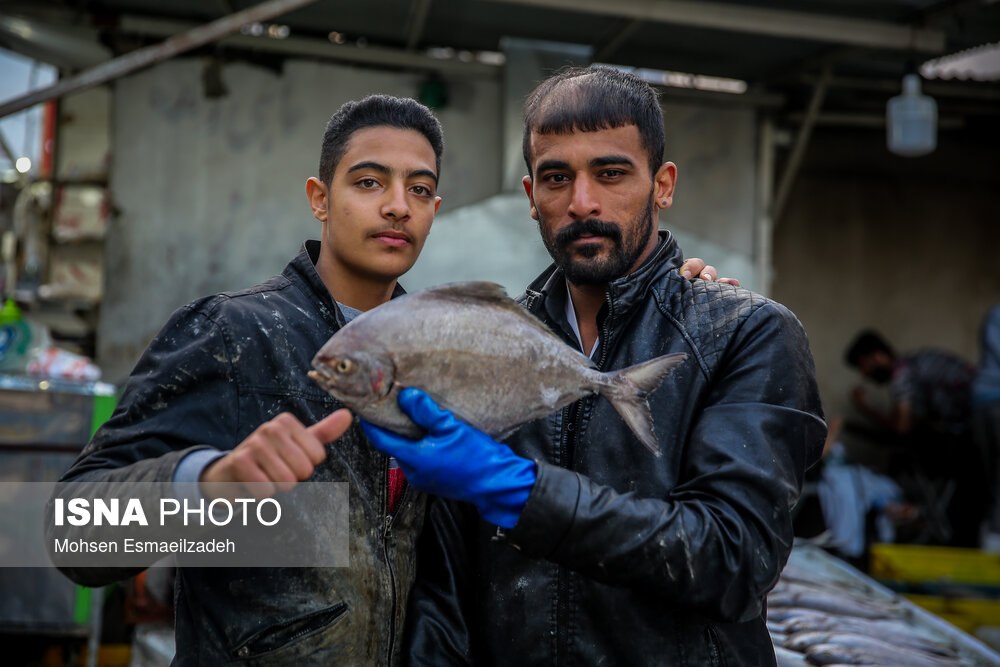 عکس/ بازار ماهی شب عید در مشهد