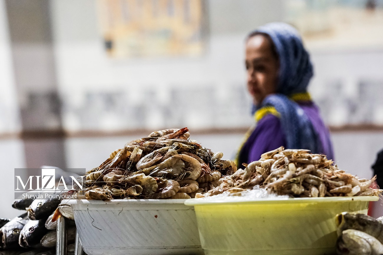 عکس/ بازار ماهی و میگو در کیش