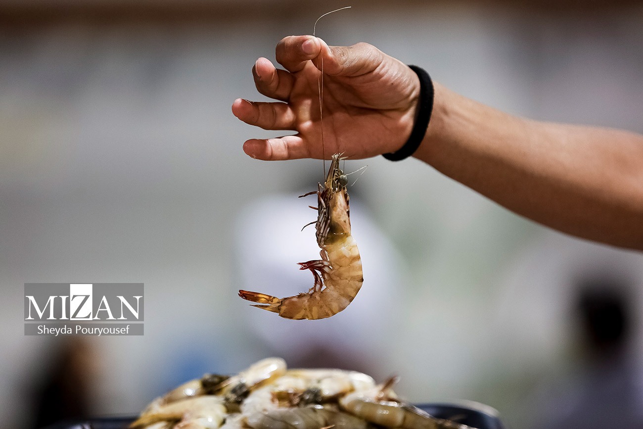 عکس/ بازار ماهی و میگو در کیش