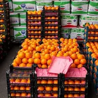قیمت میوه تنظیم بازاری نوروز در کردستان چقدر است؟