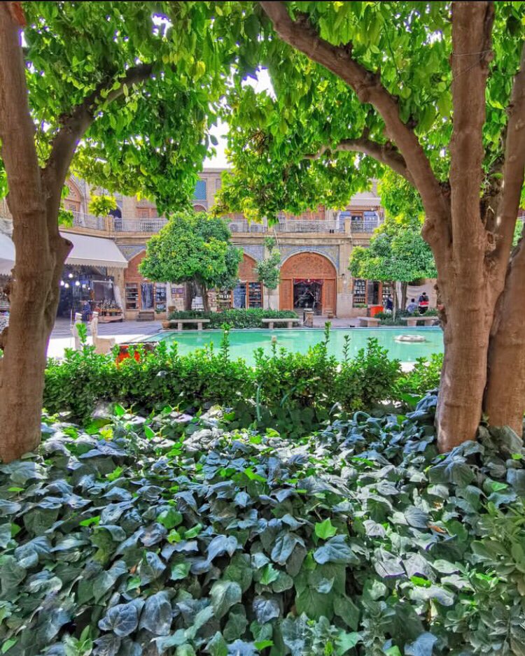 حال و هوایِ بهاریِ شیراز