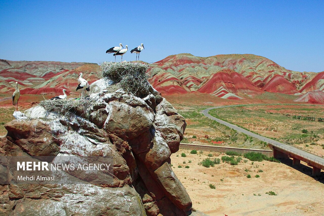 زنجان میزبان مهربان