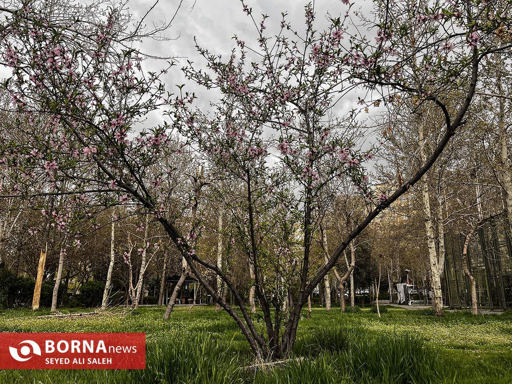 قاب هایی از نخستین روزهایِ بهار ۱۴۰۲
