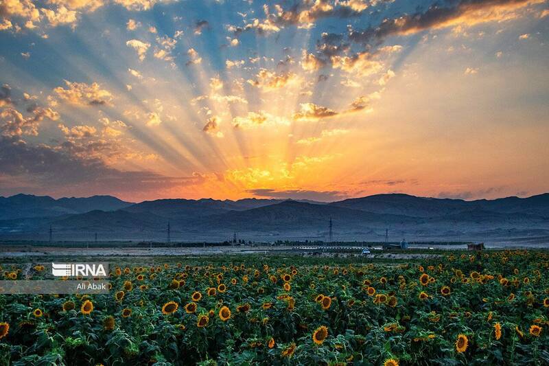 عکس/ سمنان در ایام نوروز