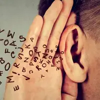 مغز انسان چگونه جهت صدا را تشخیص می دهد؟  