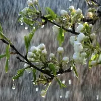 ثبت ۱۷.۱ میلیمتر بارش برای استان کرمانشاه