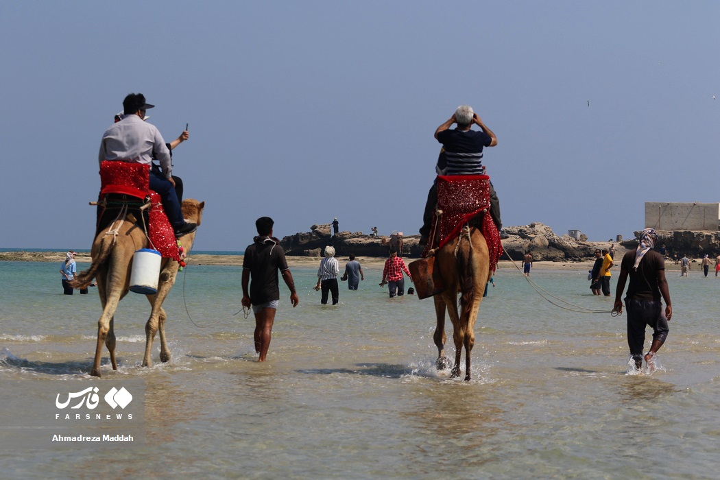 حضور «مهمانان نوروزی» در سواحل قشم