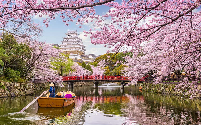 نمایی از ژاپن در فصل بهار