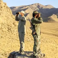 رؤیت گله پرجمعیت گورخر ایرانی در زیستگاه توران