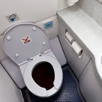 گوناگون/ توالت هواپیما چگونه کار می‌کند؟