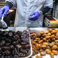 عرضه خرمای تنظیم بازاری از امروز