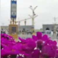 بارش باران بهاری در حرم مطهر رضوی در دومین روز ۱۴۰۲